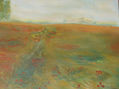 CAMPO DE AMAPOLAS.