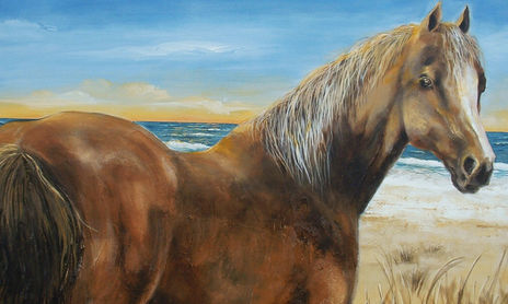 caballos