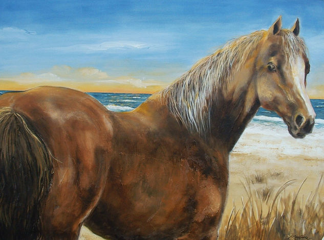 at the beach Acrylic Canvas Animals