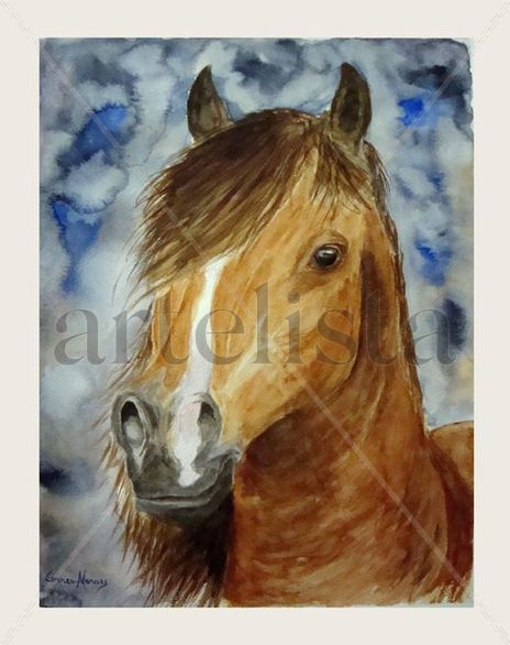 El caballo criollo