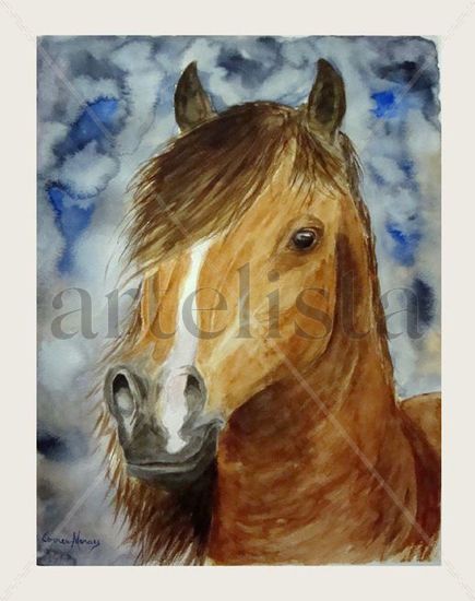 El caballo criollo Watercolour Paper Animals