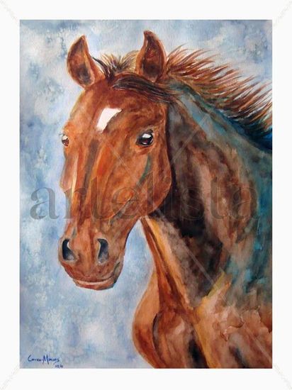 Caballo Watercolour Paper Animals