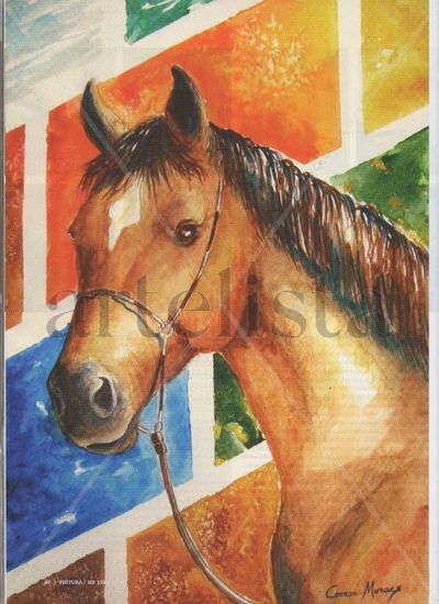 Retrato de caballo Acuarela Papel Animales