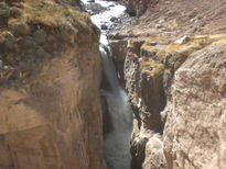 Catarata de sipia