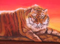 tigre en el desierto
