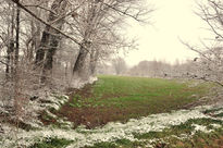 Panorama de Invierno