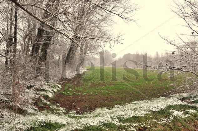 Panorama de Invierno Naturaleza Color (Digital)