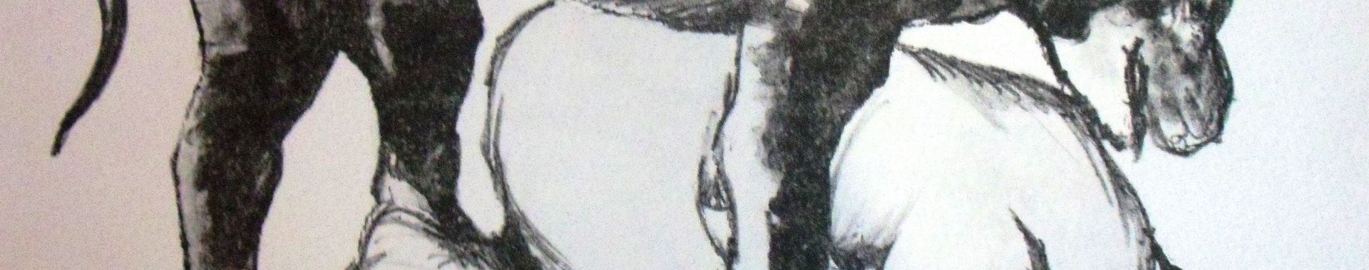 Imagen de portada