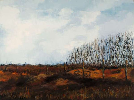 Otoño 7