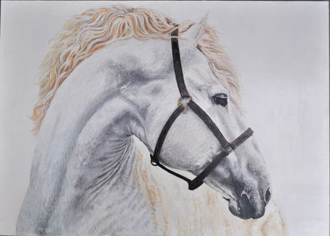 Caballo blanco