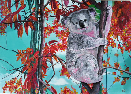 Koala