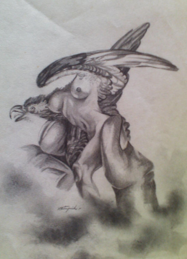 sin titulo