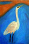 Garza blanca