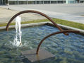 AVE DE AGUA