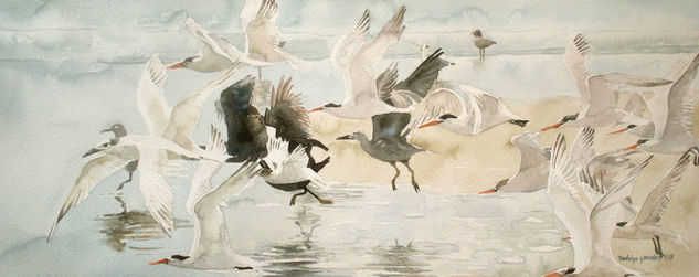 Gaviotas de Playa Brava Watercolour Paper Animals