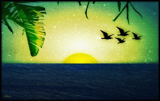 Sunset with Birds and Palm Trees 