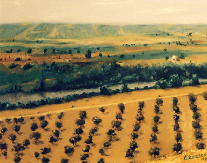 campo de Linares...