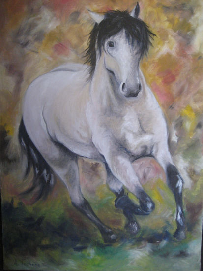 caballo criollo Oil Canvas Animals