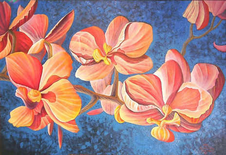 Las orquídeas
