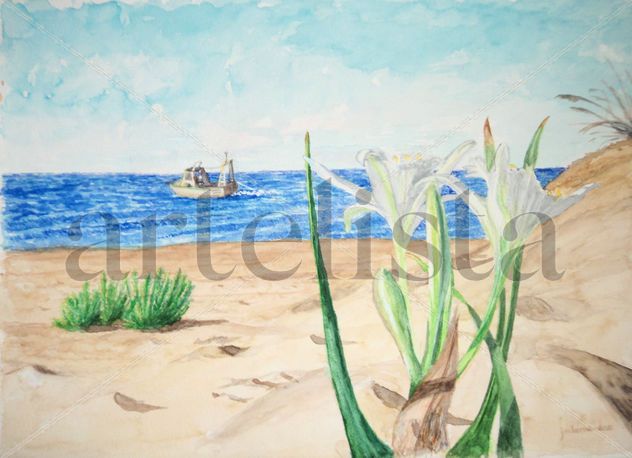 Lirios de Mar