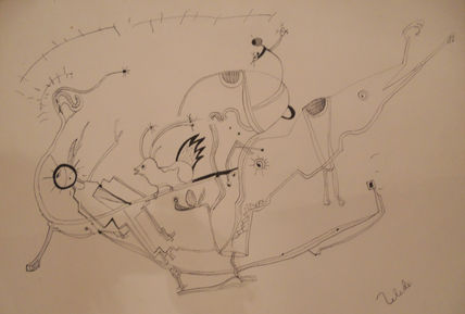 Animales