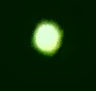 COMPOSICION VLAS.LUNA VERDE.