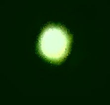 COMPOSICION VLAS.LUNA VERDE.