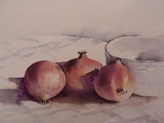 Granadas Watercolour Paper Still Life Paintings