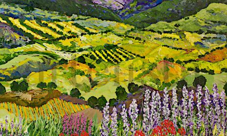 Landscapes