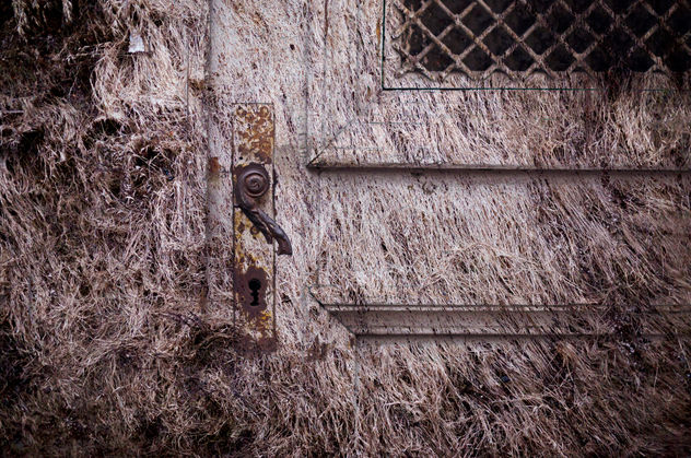 door to the unconscious