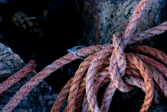 Rope with feather Otras temáticas Color (Digital)