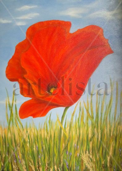 Amapola Oil Canvas Floral Painting