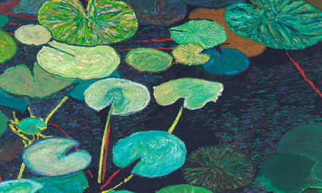 Waterlilies