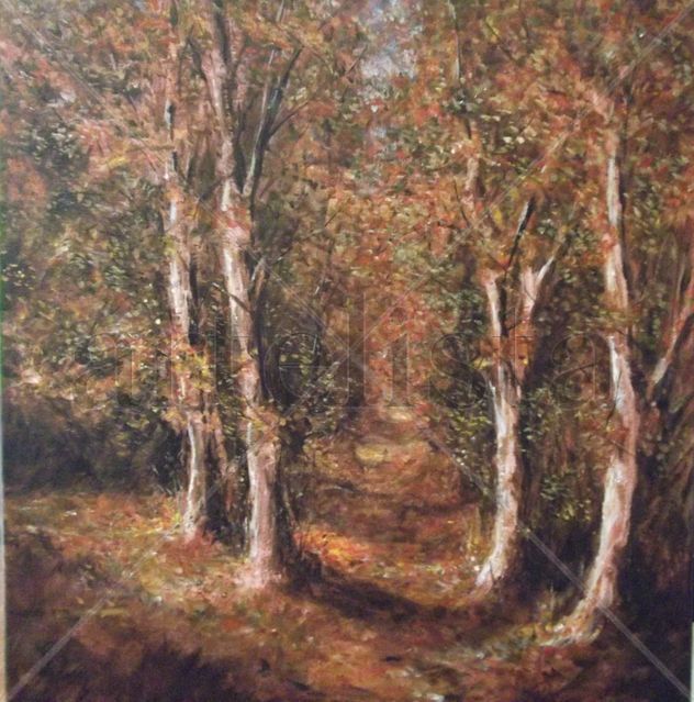 Autumn Colours