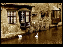 Canal de Bruges