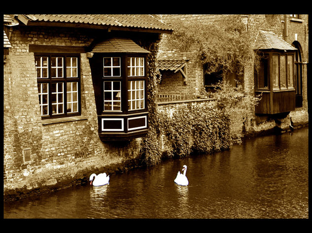 Canal de Bruges