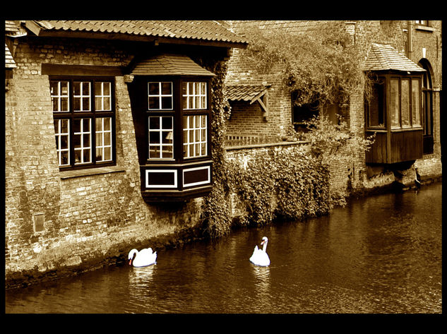 Canal de Bruges Arquitectura e interiorismo Blanco y Negro (Digital)