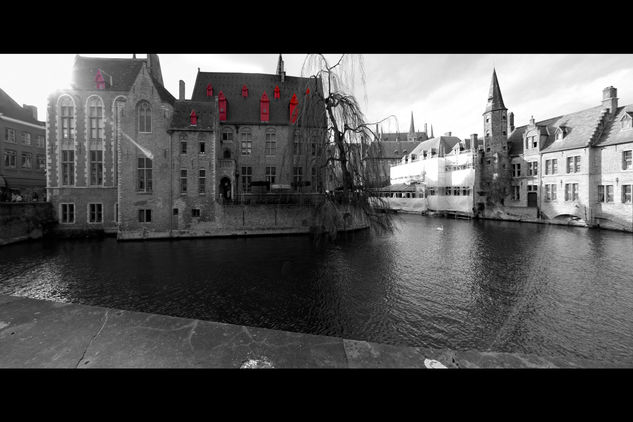 La casa de Bruges Architecture and Interiorism Black and White (Digital)