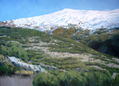 OLEO, SIERRA NEVADA, GRANADA