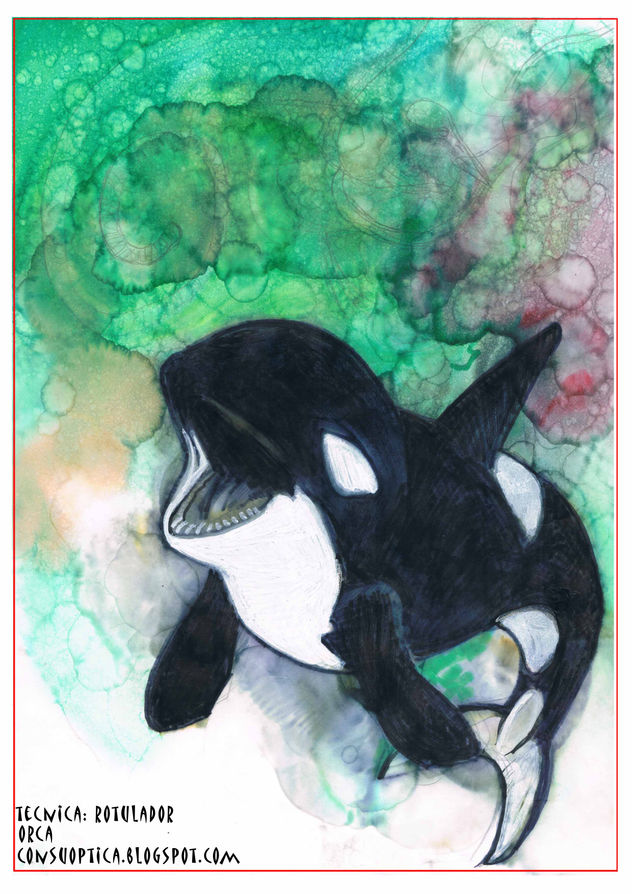 orca