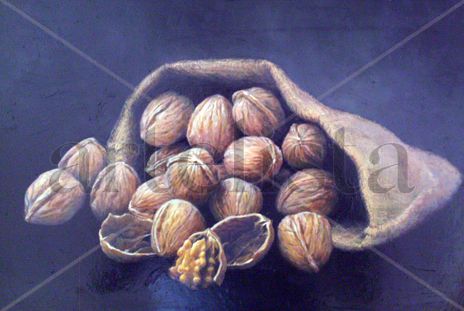 Nueces