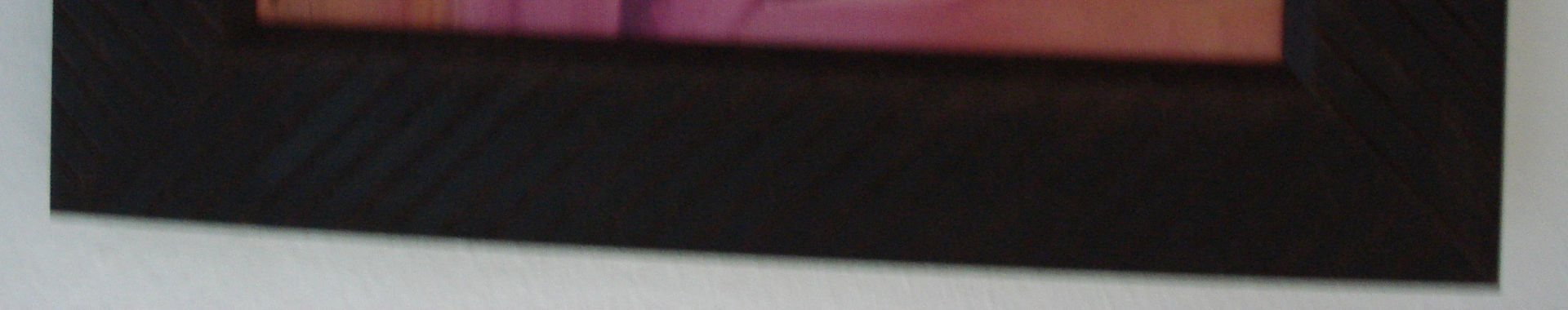 Imagen de portada