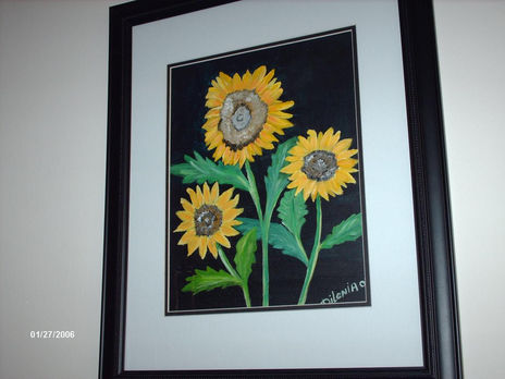 Girasoles