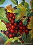 Uvas
