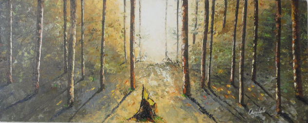A contraluz en el bosque
