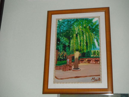 Placita