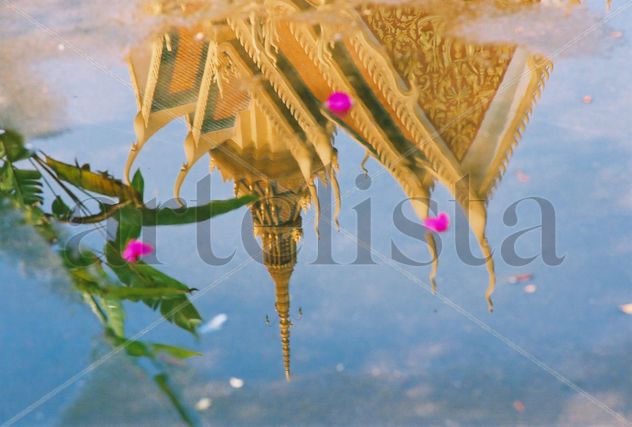 Reflejo 1