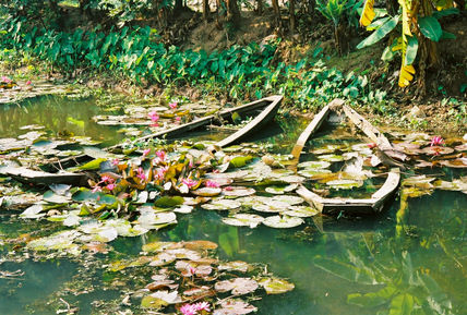 Barcas olvidadas