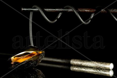 Pasta negra