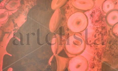 MUJERES Y MEDUSAS